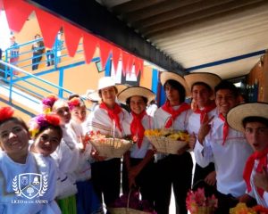 Liceo de los andes mejor colegio de cota historia (13)