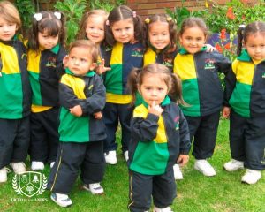 Liceo de los andes mejor colegio de cota historia (2)