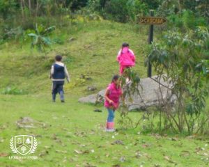 Liceo de los andes mejor colegio de cota historia (6)